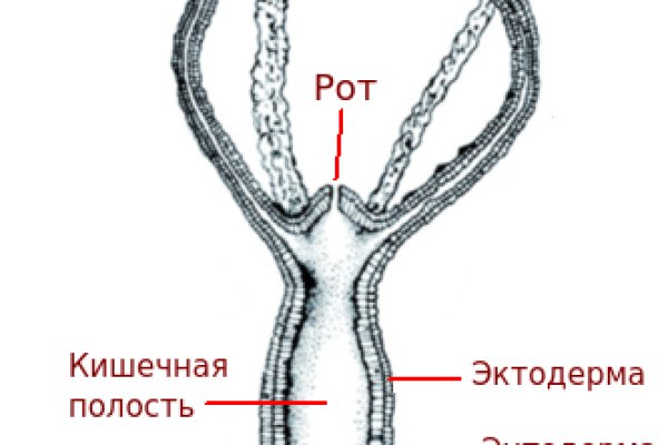 Вход на кракен